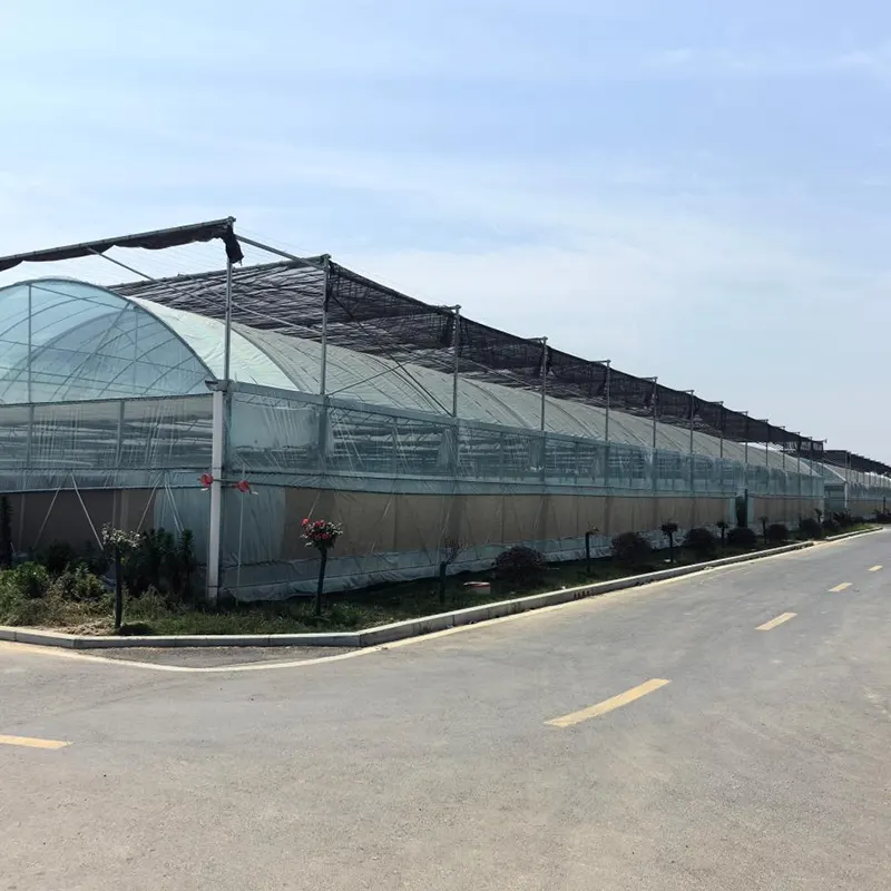 PO-Film Multi-Span Greenhouse