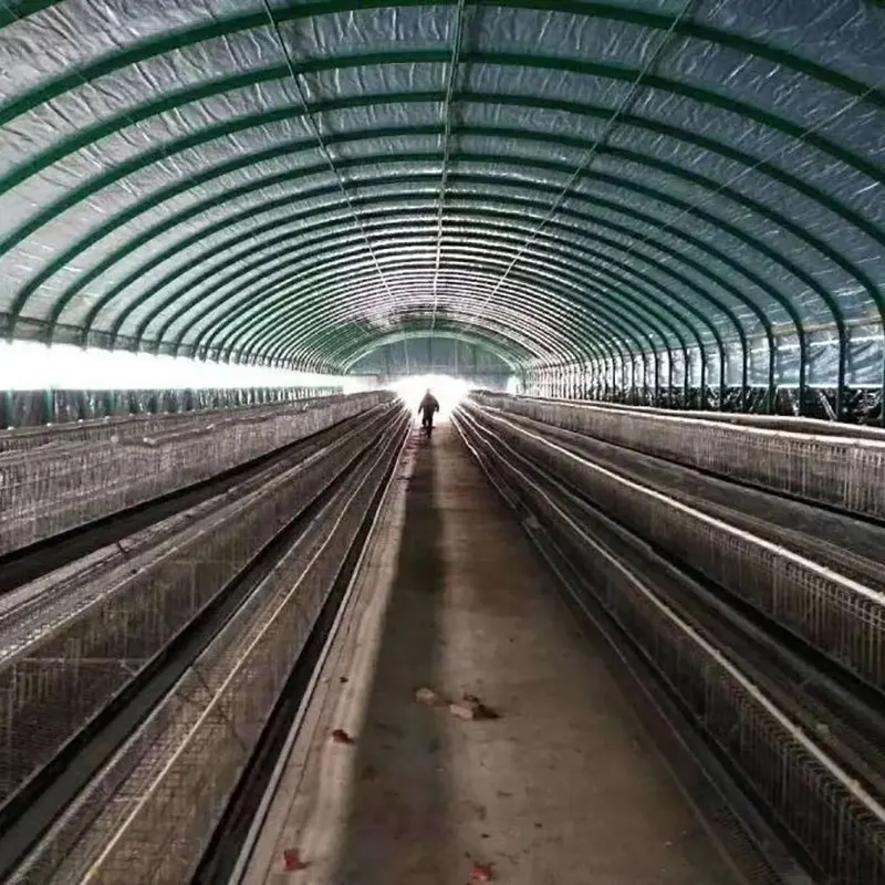 Large-Scale Livestock Breeding Shed