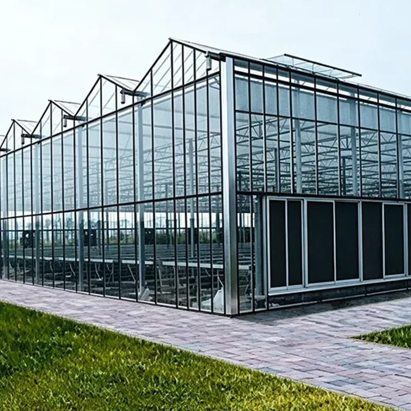 Low-E Glass Multi-span kasvihuone