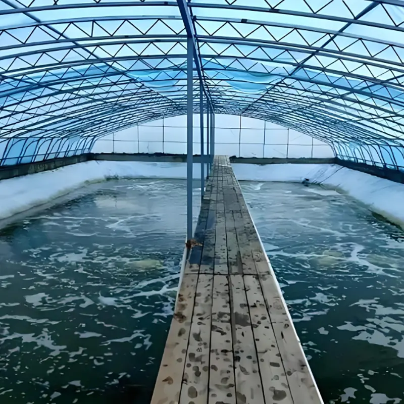 Katkarapujalostusvaja