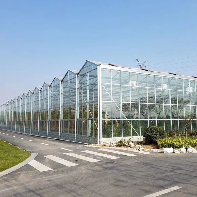 Solid PC Plate Multi-span kasvihuone